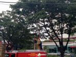 tim-penyelamat-rescue-dkpb-yang-melakukan-penyelamatan-kucing-terjebak-di-atas-pohon_20180427_151619.jpg