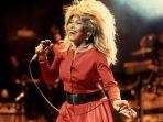 tina-turner-uiu.jpg