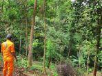tinggal-80-pria-lanjut-usia-secara-misterius-hilang-dari-gunung-pilar.jpg