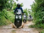 tips-berkendara-di-jalan-rusak.jpg