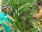 tkp-petani-tertembak-senapan-pemburu-babi.jpg