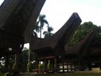 tmii_20150703_231914.jpg
