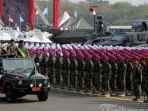 tni-211569.jpg