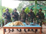 tni-amankan-gelembung-ikan-dan-tanduk-rusa-ilegal_20191110_180200.jpg