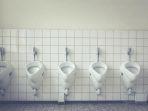 toilet1.jpg