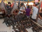 Virus Corona di China Rumornya karena Konsumsi Daging Kelelawar, Bagaimana dengan Pasar Tomohon Ini?