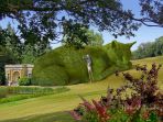 topiary-cat_20180616_154921.jpg