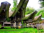 toraja-wisata-tourism_20141207_125300.jpg