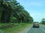 tourring-jelajah-energi-pertamax-borneo-2017_20171216_171625.jpg