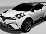 toyota-c-hr-racing_20160117_141913.jpg