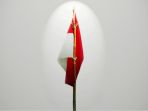 tragedi-kemanusiaan-di-bawah-tiang-bendera_20180514_230916.jpg