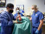 transplantasi-jantung-dari-babi.jpg