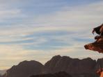 traveler-muda_20151119_200744.jpg
