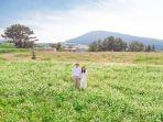 traveling-ke-pulau-jeju.jpg