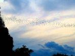 traveloka-281118-12.jpg