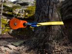 tree-trunk-protector-strap_20181002_121342.jpg