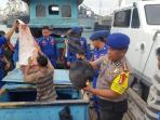 trenggiling-yang-diamankan-dit-pol-air-polda-sumut_20151111_112414.jpg