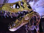 trex-0011.jpg