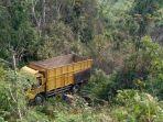 truk-colt-disel-yang-mengalami-lakalantas-tunggal-di-lampung-utara.jpg