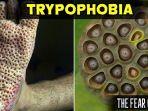 trypophobia-cara-menyembuhkan.jpg