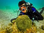 tugu-kilometer-nol-bawah-laut-sabang_20160103_211345.jpg