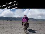 tukang-ojek-kuda.jpg