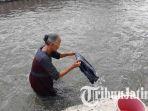 tulang-tengkorak-lumajang123.jpg