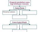 tuliskan-informasi-dari-bacaan-apa-saja-pengaruh-cuaca-bagi-kehidupan-manusia.jpg