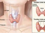 tumor-tiroid.jpg