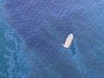 tumpahan-minyak-di-lepas-pantai-huntington-california.jpg