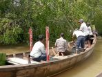 tuntong-laut_20170804_203729.jpg