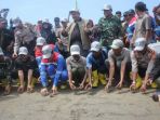 tuntong-laut_20180819_185941.jpg