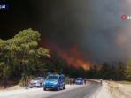turki-hutan-terbakar.jpg