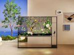 tv-oled-transparan-nirkabel.jpg
