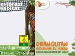 twibbon-orangutan-dffs.jpg