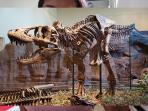 tyrannosaurus_20160812_010725.jpg