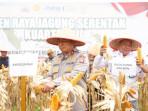 Panen Raya Jagung di Pekanbaru: Langkah Strategis Menuju Ketahanan Pangan