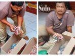 uang-di-solo-dimakan-rayap.jpg