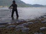 ubur-ubur-mati-terdampar-di-pantai-pesisir_1.jpg