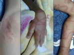 ubur-ubur_20170116_152912.jpg