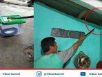 ular-kobra-bergelantungan.jpg