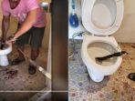 ular-kobra-dikeluarkan-dari-kloset-toilet.jpg
