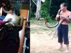 Penyebab Pawang UIar di Mempawah Tewas oleh King Kobra, Terungkap di Mana Titi Mematikan Gigitannya