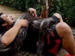 ular-piton-992122.jpg