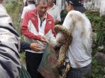 ular-piton-di-dalam-sumur_20180320_142337.jpg
