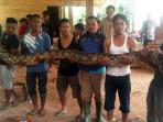 ular-sanca-atau-ular-sabak_20150519_114829.jpg