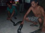 ular-sanca-yang-panjangnya-sekira-tiga-meter_20170721_001052.jpg