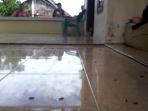 ulat-bulu-menyebar-di-rumah-warga_20160122_112127.jpg