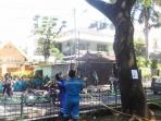 ulat-bulu_20160324_143804.jpg
