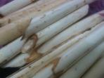 umbut-rotan-dapat-menyelamatkan-anda-dari-hipertensi_20160527_175826.jpg